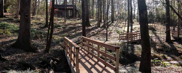 trail trail