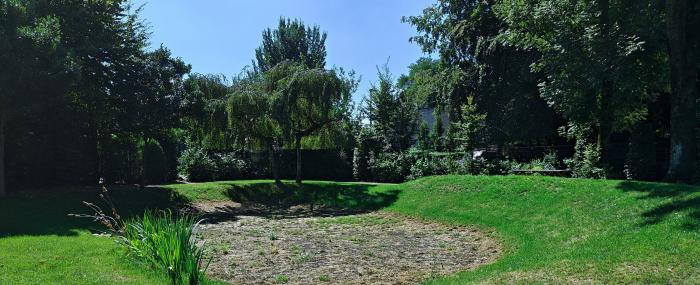 trees