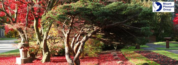 Mount Pleasant Cemetery