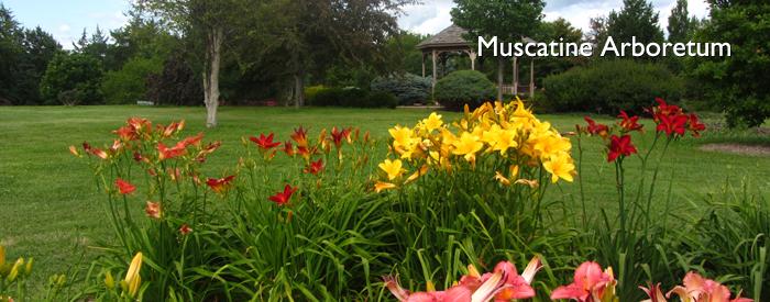 Muscatine Arboretum