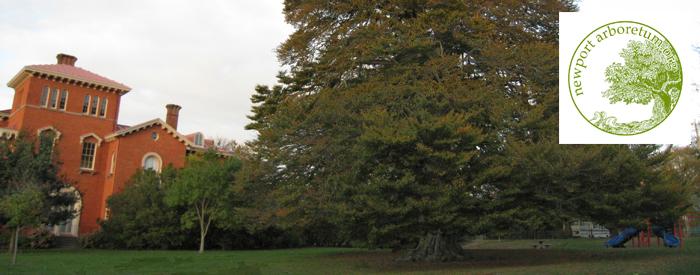 Newport Arboretum trees