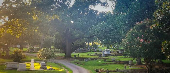 Oak Hill Cemetery trees