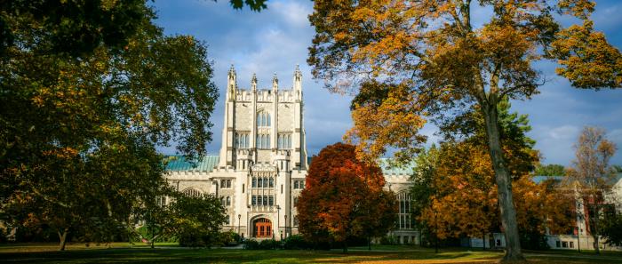 photo by Tamar M. Thibodeau/Vassar College, trees Photo by Tamar M. Thibodeau/Vassar College trees