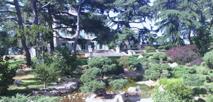 Garden Garden