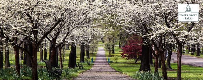 Tower Grove Park 