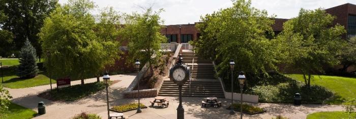 campus trees