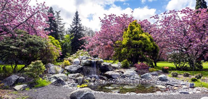 Park trees