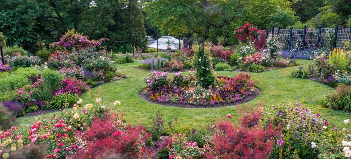 Morris arboretum