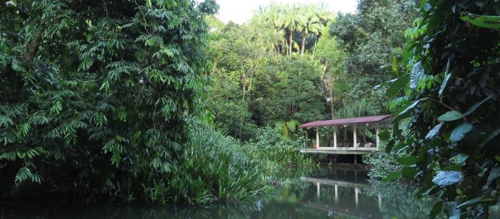 Pond view