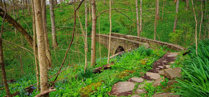 Stone Bridge Stone Bridge