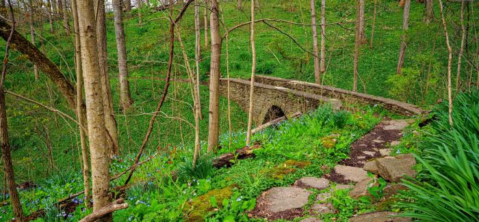 Stone Bridge