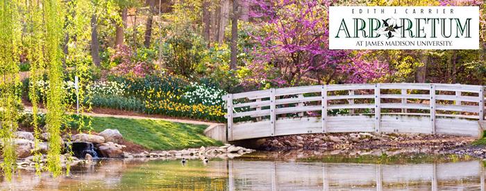 Edith J. Carrier Arboretum, Bridge