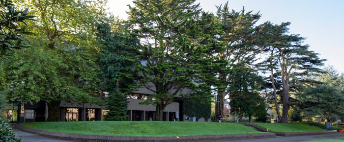 UCC Arboretum trees