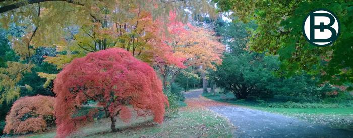 Bailey Arboretum