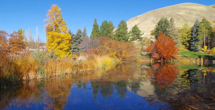 Water - Pavilion Fall