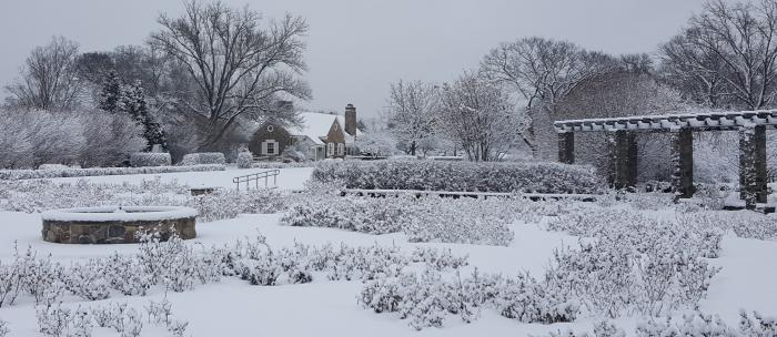 winter winter