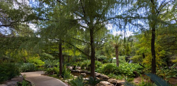 Zilker Botanical Garden