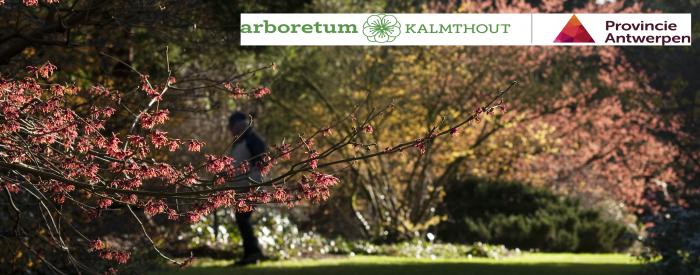 Arboretum Kalmthout Arboretum Kalmthout