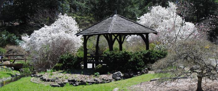 Laurelwood Arboretum