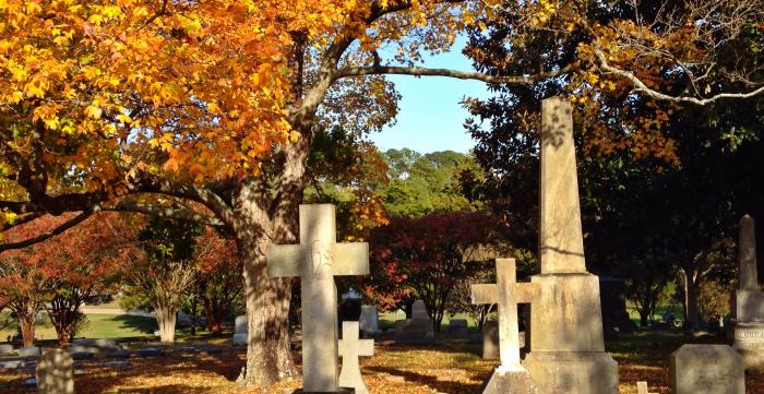 Arboretum at Oakwood