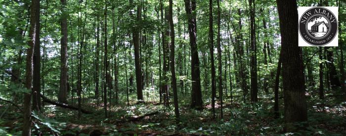City of New Albany Arboretum City of New Albany Arboretum