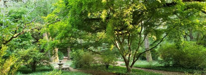 Aiken City Arboretum