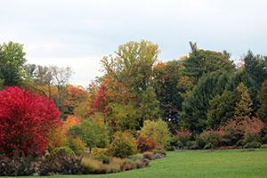 Cornell Plantations Cornell Plantations
