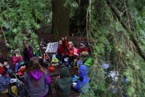 Forest school Forest school