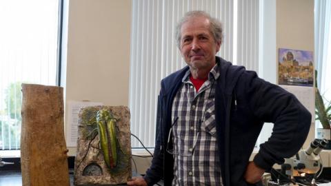 Laurentian Forestry Centre scientist Robert Lavallée is trying to use fungus to fight the emerald ash borer. Photo taken on Sept. 27, 2017 by Clothilde Goujard