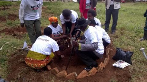 Traditional leaders planting a Mulanje Cedar seedling at the project launch