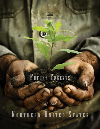 Future Forests of the Northern United States, hands holding tree seedling
