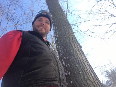 Dan Brinkman intends to use this rare healthy mature American chestnut tree to help bring the species back from the brink. (Andrew Lupton/CBC)