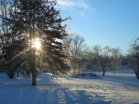 Taltree Arboretum winter