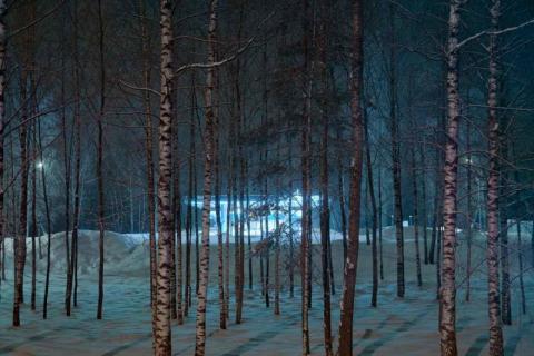 trees asleep trees asleep