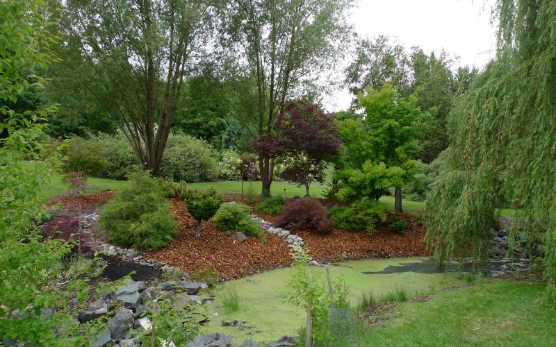 University of Idaho Arboretum