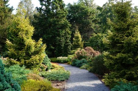 Bayard Cutting Arboretum Conifer Garden