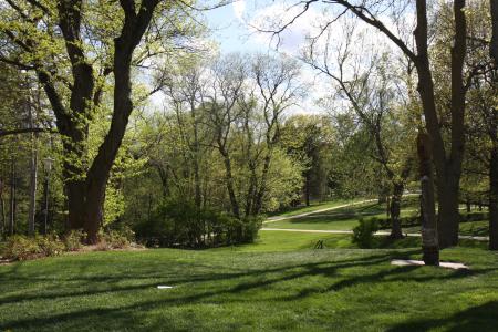 Arboretum trees