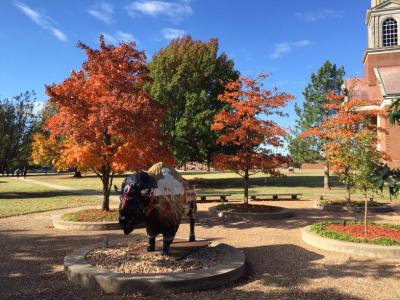 Oklahoma Baptist University Arboretum