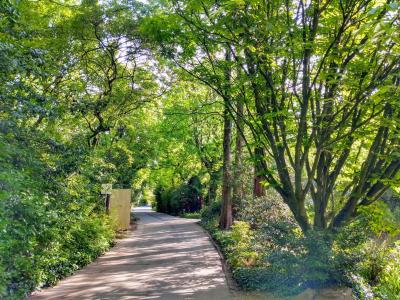 Botanical Gardens