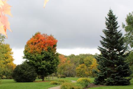 University of Guelph Arboretum