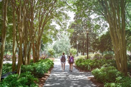 students and trees