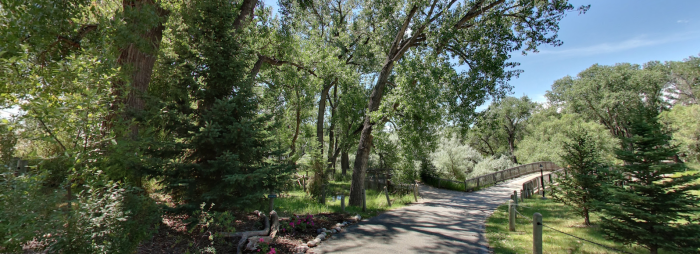 trees
