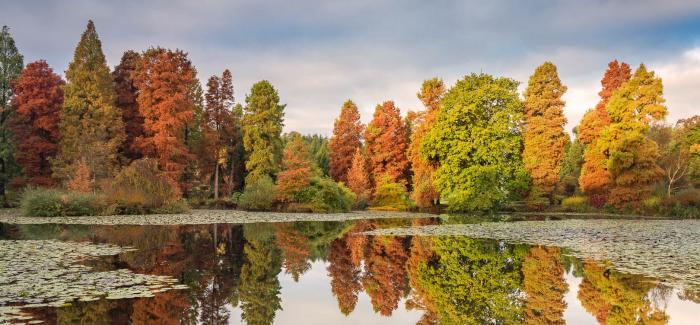 Autumn_Reflections-Marshal'sLake-CREDIT David Jenner