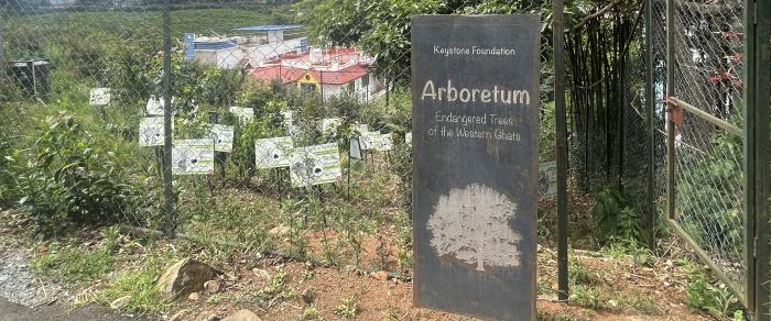 arb