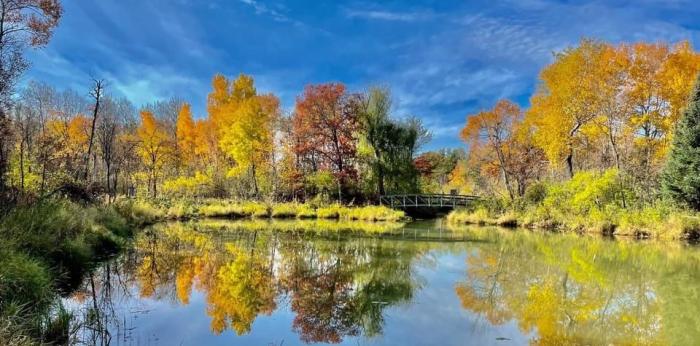 Monet Pond