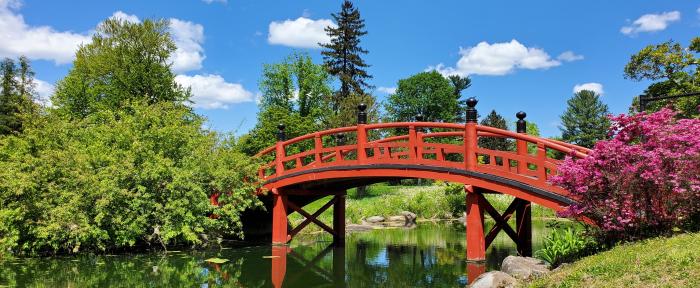 Red Bridge Red Bridge