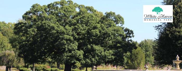 Whitehaven Memorial Park