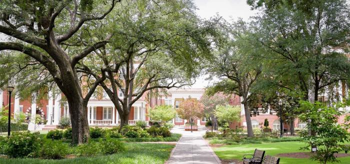 Front campus trees