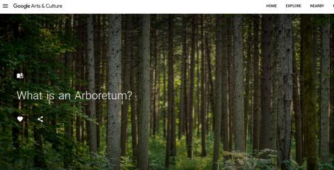What is an arboretum