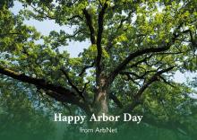 Arbor Day 2022